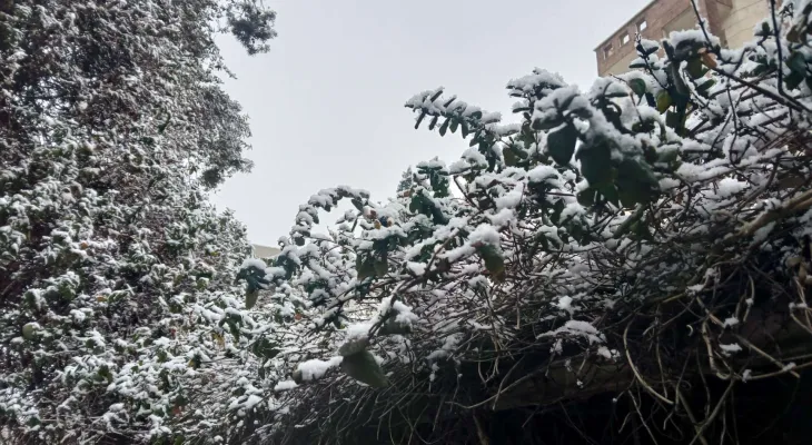 یک روز برفیِ زیبا در فردیس