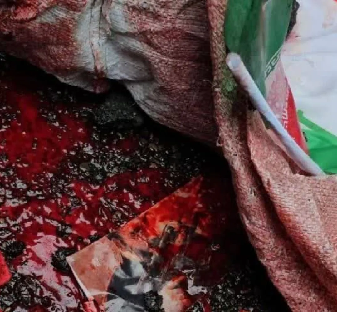 شاعرالبرزی ایستادگی ملت‌ایران را به رخ جهانیان کشاند