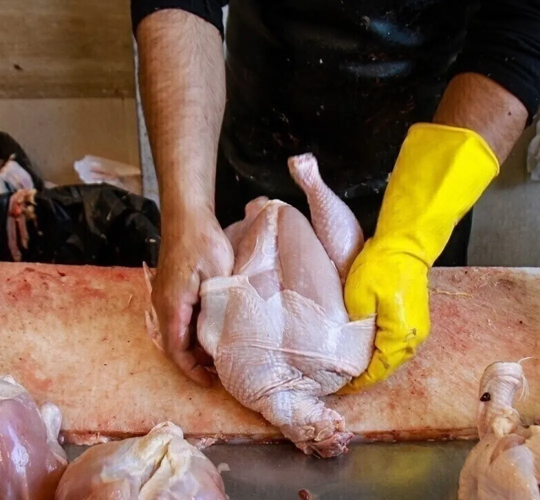 بازار مرغ در آرامش به سر می برد